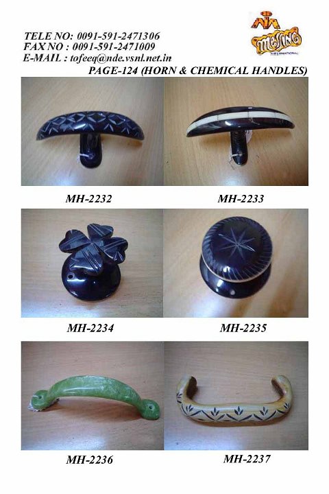 PAGE124 (HORN & CHEMICAL HANDLES).JPG